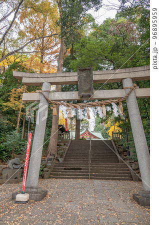 世田谷八幡宮鳥居　 96895959