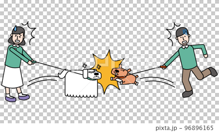 A pet dog who fights with another dog during a walk and a panicked owner A pet dog who fights with another dog during a walk and a panicked owner 96896165