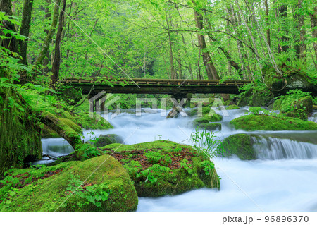 青森_奥入瀬渓流にかかる木橋の風景 青森_奥入瀬渓流にかかる木橋の風景 96896370