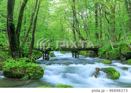 青森_奥入瀬渓流にかかる木橋の風景 96896373