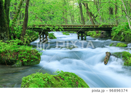 青森_奥入瀬渓流にかかる木橋の風景 青森_奥入瀬渓流にかかる木橋の風景 96896374