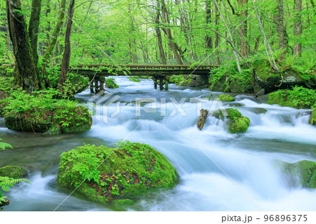青森_奥入瀬渓流にかかる木橋の風景 青森_奥入瀬渓流にかかる木橋の風景 96896375