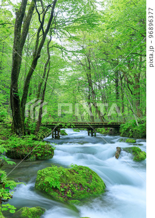青森_奥入瀬渓流にかかる木橋の風景 96896377