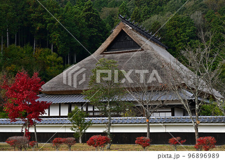 丹波並木道中央公園より 96896989