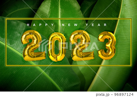 Happy New Year 2023 96897124
