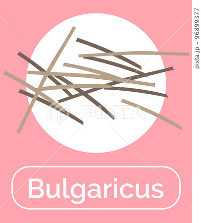 Bulgaricus Probiotics for Human Digestive System Bulgaricus Probiotics for Human Digestive System 96899377
