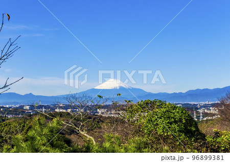 円海山から見た富士山 96899381