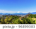 円海山から見た富士山 96899383