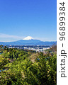 円海山から見た富士山 96899384
