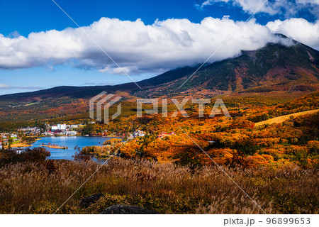 秋の白樺湖 96899653