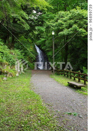 一乗滝 一乗滝 96899739
