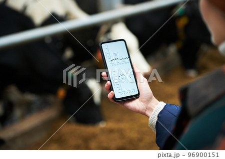 Hand of young female owner of modern cowfarm holding mobile phone Hand of young female owner of modern cowfarm holding mobile phone 96900151