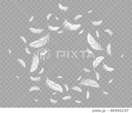 Feathers frame, round border of white fluffy down 96900297
