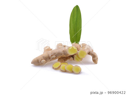 White Turmeric isolated on white White Turmeric isolated on white 96900422