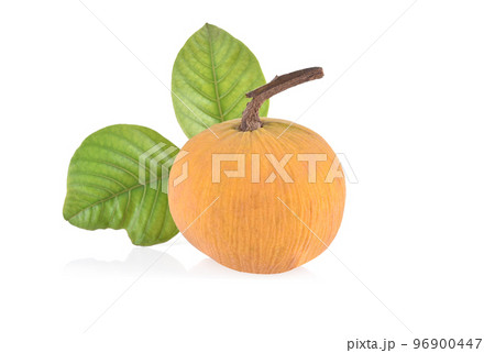 Ripe Santol or Sentul fruit (Sandoricum koetjape) with leaf isolated on white background Ripe Santol or Sentul fruit (Sandoricum koetjape) with leaf isolated on white background 96900447