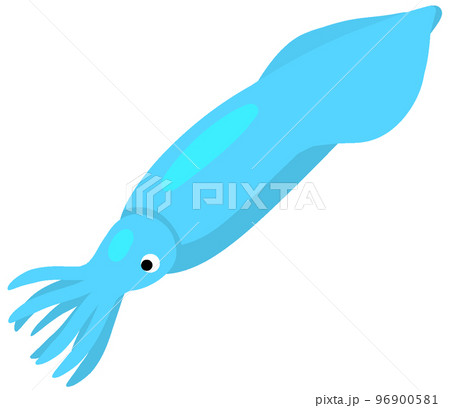 ベレムナイト 96900581