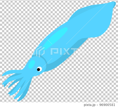 貝倫騎士 96900581