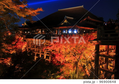 【京都府】清水の舞台と紅葉ライトアップ(清水寺) 【京都府】清水の舞台と紅葉ライトアップ(清水寺) 96900648