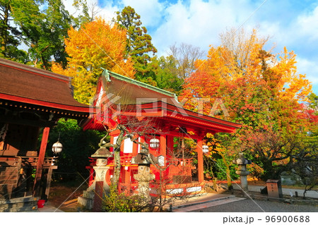 【京都府】北野天満宮の地主神社の紅葉 【京都府】北野天満宮の地主神社の紅葉 96900688