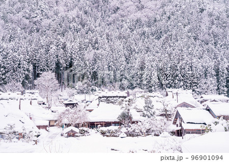 京都府南丹市美山町雪積もるかやぶきの里の撮影したもの 京都府南丹市美山町雪積もるかやぶきの里の撮影したもの 96901094