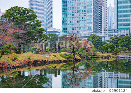 秋の東京　紅葉の旧芝離宮恩賜庭園 96901124