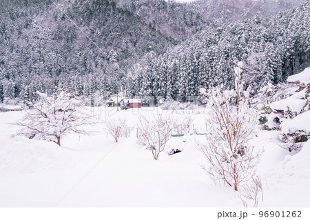 京都府南丹市美山町雪積もるかやぶきの里の撮影したもの 96901262