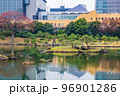 秋の東京　紅葉の旧芝離宮恩賜庭園 96901286