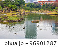 秋の東京　紅葉の旧芝離宮恩賜庭園 96901287