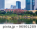 秋の東京　紅葉の旧芝離宮恩賜庭園 96901289
