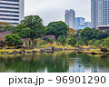 秋の東京　紅葉の旧芝離宮恩賜庭園 96901290