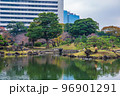 秋の東京　紅葉の旧芝離宮恩賜庭園 96901291