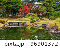 秋の東京　紅葉の旧芝離宮恩賜庭園 96901372