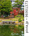 秋の東京　紅葉の旧芝離宮恩賜庭園 96901373