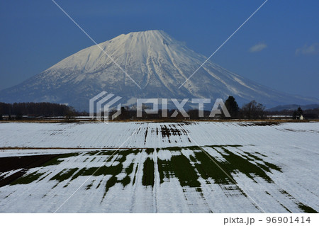 羊蹄山への道 羊蹄山への道 96901414