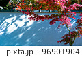 寺院の紅葉 96901904