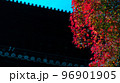 寺院の紅葉 96901905