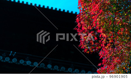 寺院の紅葉 寺院の紅葉 96901905