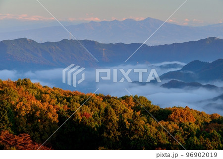 美の山からの紅葉 美の山からの紅葉 96902019