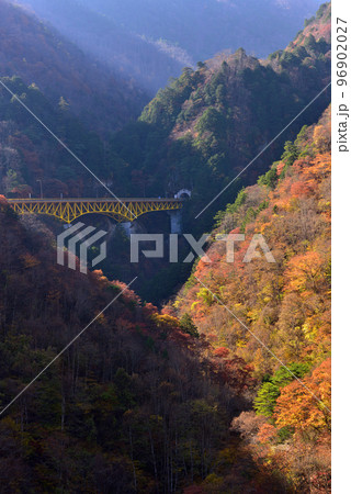 豆焼橋からの紅葉 豆焼橋からの紅葉 96902027