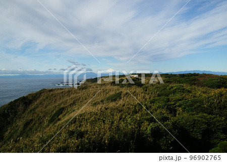 県立城ヶ島公園 県立城ヶ島公園 96902765