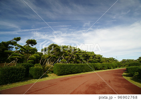 県立城ヶ島公園 県立城ヶ島公園 96902768