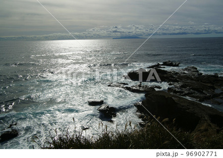 県立城ヶ島公園 県立城ヶ島公園 96902771
