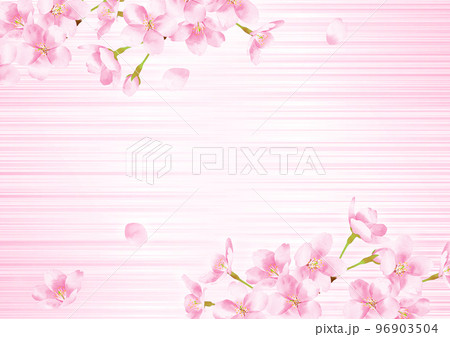 桜の水彩風イラスト 背景素材 桜の水彩風イラスト 背景素材 96903504