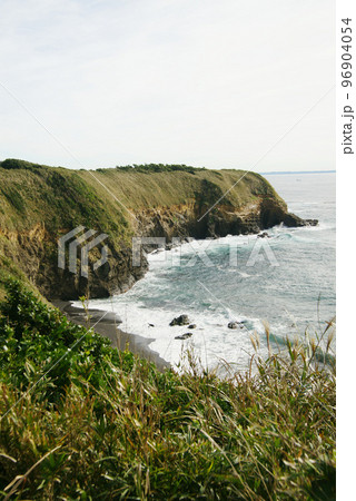 城ヶ島　ウミウ展望台 96904054