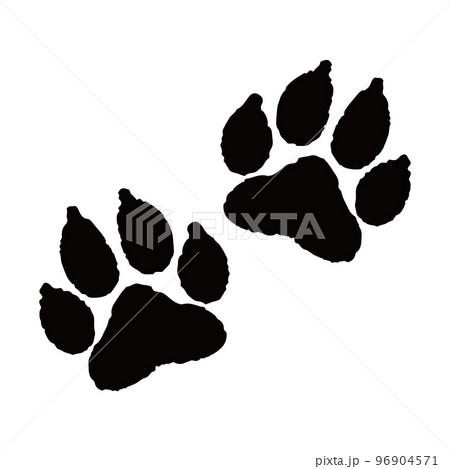 犬の両足 96904571