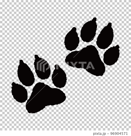 犬の両足 96904571