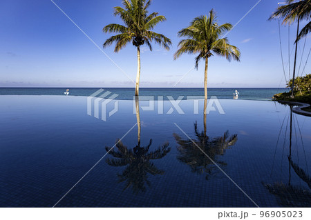 沖縄旅行　ムーンビーチホテルの美しいプールと海 96905023