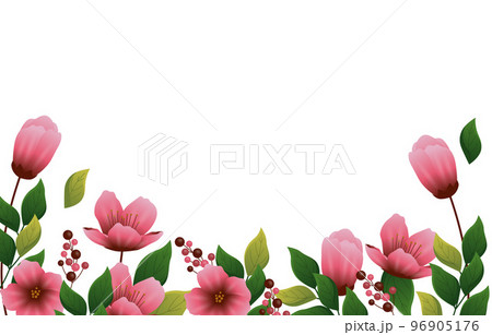 Beautiful Peach Blossom Flower Floral Blank Space Rectangle Background Beautiful Peach Blossom Flower Floral Blank Space Rectangle Background 96905176