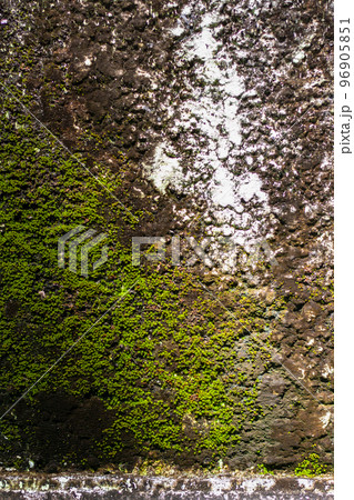 Old wall covered with green moss and lichens. Vertical. 96905851
