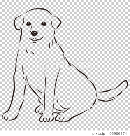 簡單可愛的拉布拉多獵犬手繪線描矢量圖（黑白） 96906574